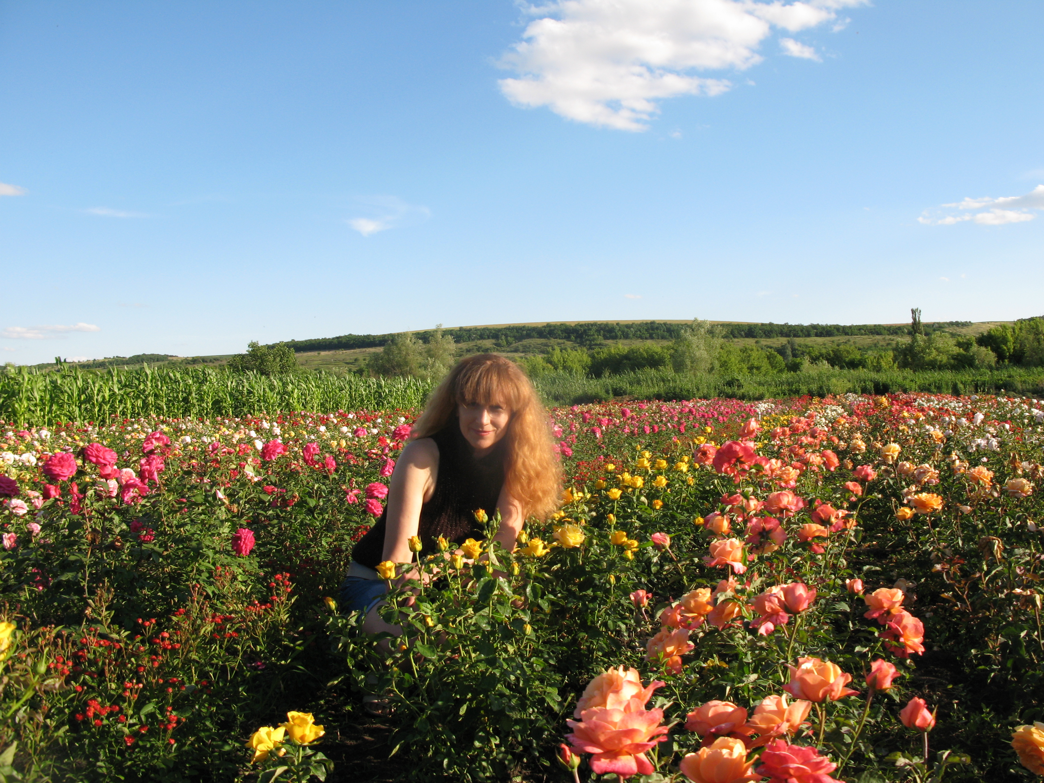 Магазин цветов