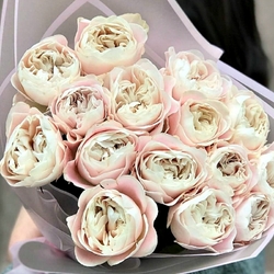 Шифон (VIP ROSES)