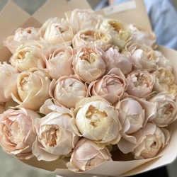 Unforgettable  (Vip Roses)