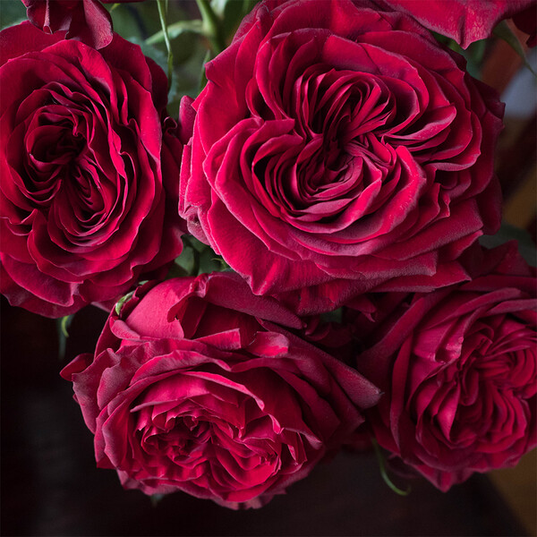 Mayra’s Red (Майра Ред)